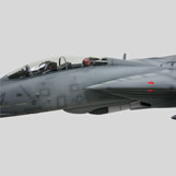 5 Foot Long Grumman F-14 from the movie TOP GUN